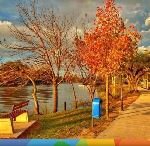 a park with a bench and trees next to the water at Hotel Berlin in Gualeguaychú