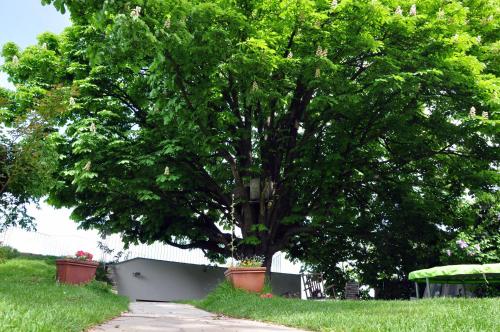 Taman di luar Bratislava Castle Hill Apartment