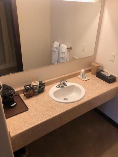 a bathroom counter with a sink and a mirror at Yellowstone Big Rock Inn in Gardiner