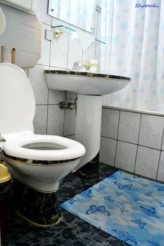 a bathroom with a toilet and a sink at Hotel Bradul in Durau