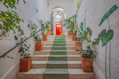 Fotografie z fotogalerie ubytování Botanico Hostel v destinaci Bogotá