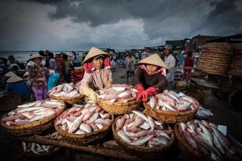 a group of people in a market with baskets of fish at Quốc Ân Motel in Long Hai