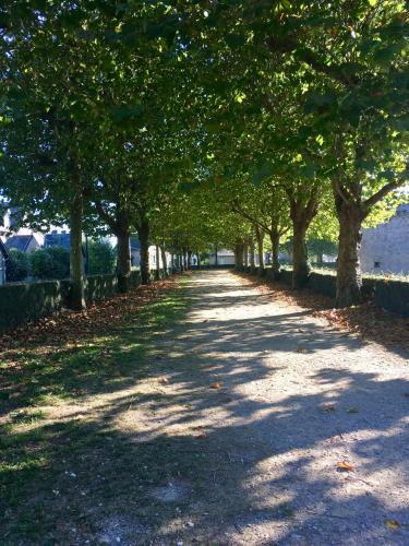 a tree lined path with trees in a park at Manurêva - Chambre d'hôte en coeur de ville in Dinan