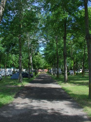 a tree lined road with a lot of trees at Camping Village Città di Milano in Milan