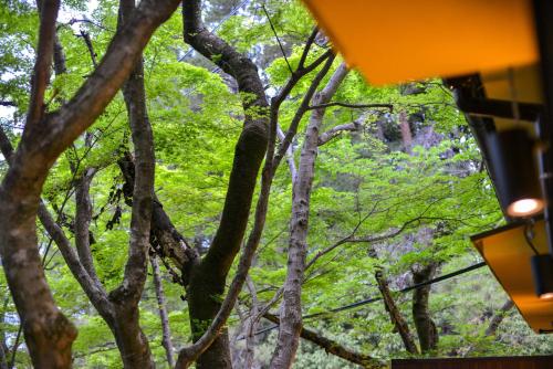 a view of a tree with green leaves at Villa Hamorebi in Miyajima