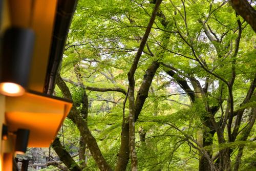 a view of a forest from a bus at Villa Hamorebi in Miyajima