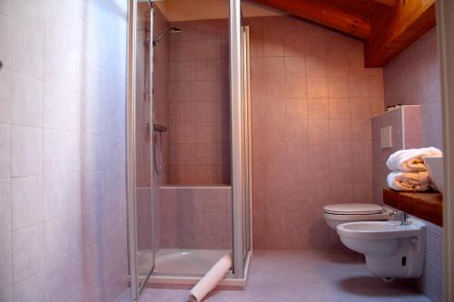 a bathroom with a shower and a toilet at Mortirolo in Mazzo di Valtellina