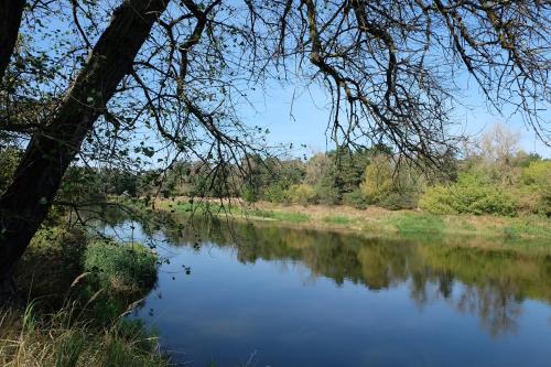 a view of a river with trees in the background at Leśny Ośrodek Szkoleniowy w Puszczykowie in Puszczykowo