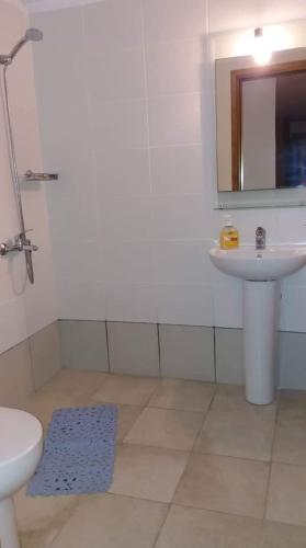 a bathroom with a sink and a toilet and a mirror at Pogonitsa in Kotrónion