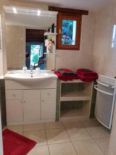 a bathroom with a white sink and a mirror at Chambres d'Hotes Carpediem in Prigonrieux