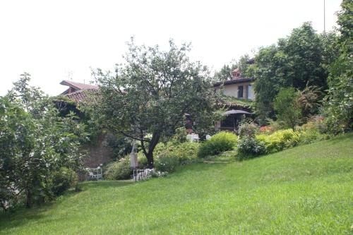 ein Haus auf einem Hügel mit einem grünen Hof in der Unterkunft Dindina Agriturismo in Neviglie