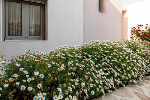 a hedge of flowers in front of a building at Mythos Suites Diskos in Léntas