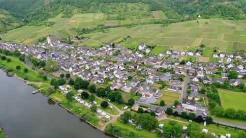 an aerial view of a small town next to a river at Ferienwohnungen Am Bruttiger Moselsteig in Bruttig-Fankel