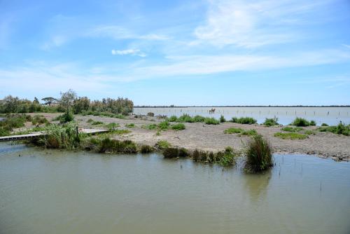 a body of water with a bridge in the background at Maison l'Etrier in Saintes-Maries-de-la-Mer
