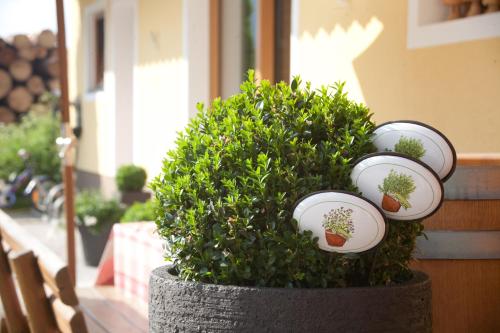 a plant in a pot with four stickers on it at Feriengut Lackenhof in Filzmoos