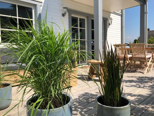 two potted plants are sitting on a patio at Ferienwohnung Bogenstahl in Rettin