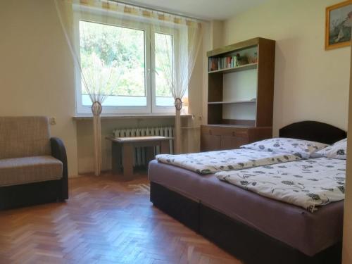 ソリナにあるMieszkanie Solinaのベッドルーム1室(ベッド1台、椅子、窓付)