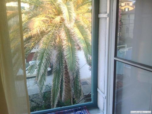 Fotografie z fotogalerie ubytování Nona Beta v destinaci Mali Lošinj