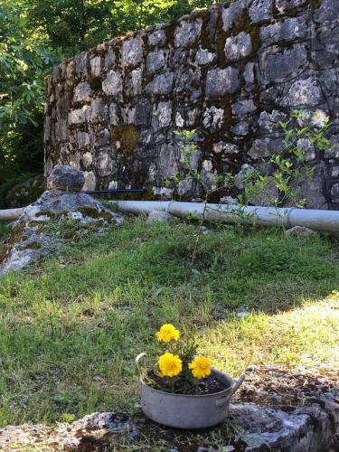 a pot with yellow flowers in front of a stone wall at Rent House Orahovo in Virpazar