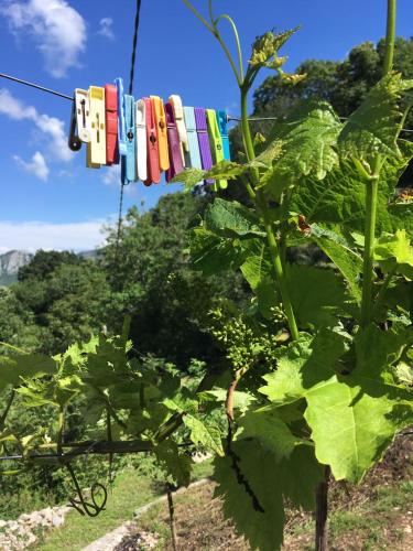 a bunch of towels hanging on a line in a field at Rent House Orahovo in Virpazar