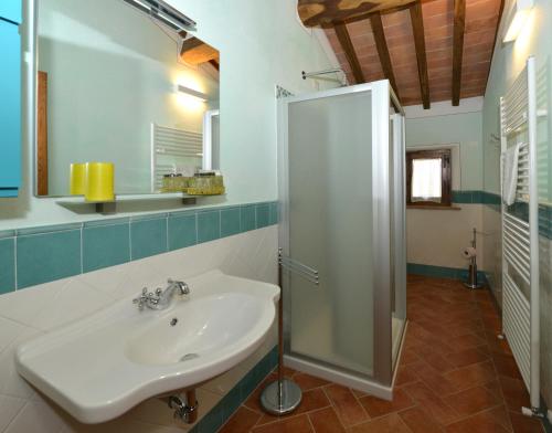 阿夏诺Agriturismo Mocine的带水槽和淋浴的浴室