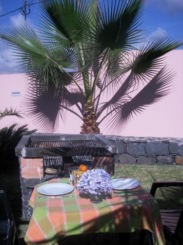 a table with plates and a palm tree in the background at Casa do Poço Funchal in Funchal