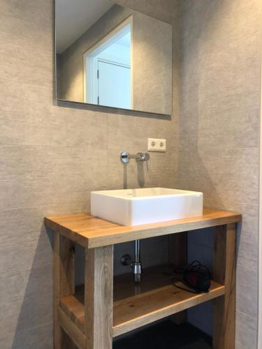 a bathroom with a white sink and a mirror at Vakantie Appartementen De Bonte Kraai in Raamsdonk