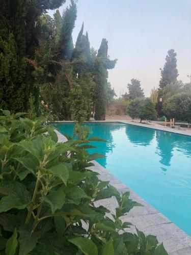 Gallery image of Felina place by Shuli in Ganne Yoẖanan