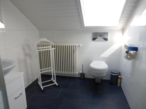 La salle de bains est pourvue de toilettes et d'un lavabo. dans l'établissement Ferienwohnung Apfelstübchen, à Friedrichshafen