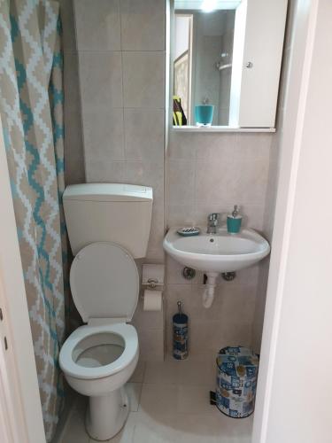 een kleine badkamer met een toilet en een wastafel bij Tolis Apartments in Preveza
