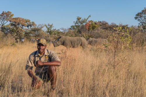 a man standing in the tall grass with elephants in the background at Big Cave Camp in Matopos