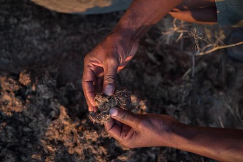 two hands holding a piece of dirt at Big Cave Camp in Matopos