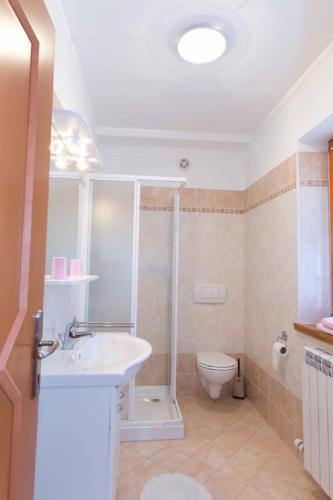 a bathroom with a shower and a sink and a toilet at Tourist farm Tonin in Šmarje