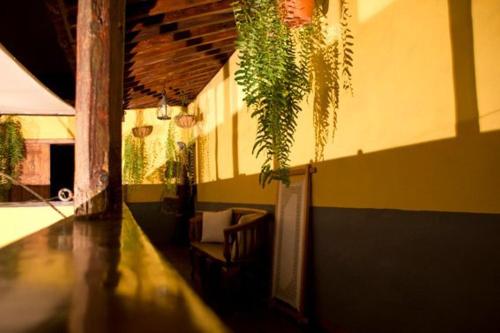 a room with a chair and a plant on the wall at Hotel Rural Orotava in La Orotava