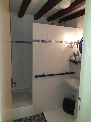 a bathroom with a shower and a sink at Moulin en Route in Blèves
