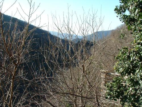 a group of trees with a mountain in the background at Medieval Village B&B in Ne