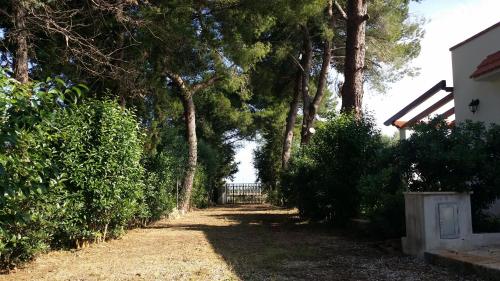 a dirt road with trees and a house at Villa del Sole in Manduria