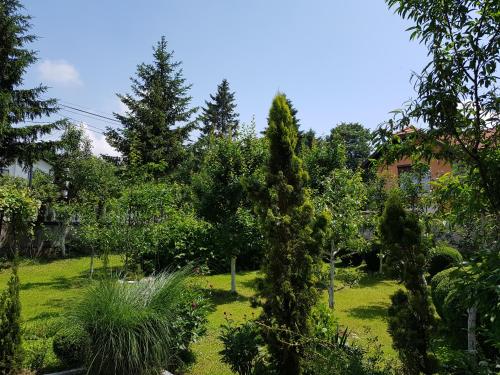 a garden with trees and grass and a house at Apartment Paradise Enver in Dubrave Gornje