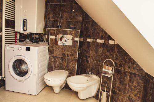 a bathroom with a washing machine and a toilet at SKOL apartment in Celje