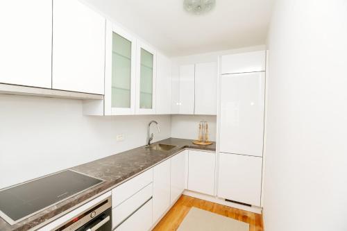 Η κουζίνα ή μικρή κουζίνα στο Ljubljana finest apartment