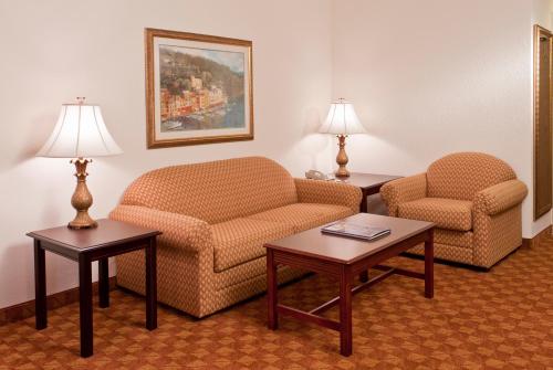 Zona de estar de Ann Arbor Regent Hotel and Suites