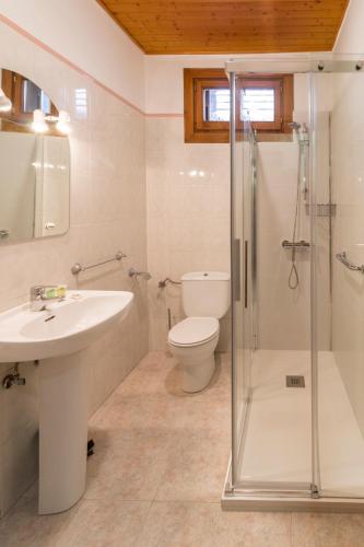 a bathroom with a toilet and a sink and a shower at apartamento AZKOITI ETXEA in Ochagavía