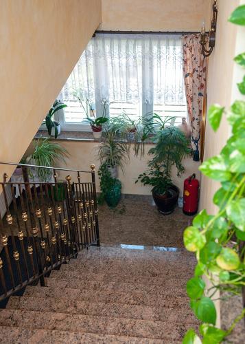 Imagen de la galería de Pension Hiesel-Villa Untersbergblick, en Anthering