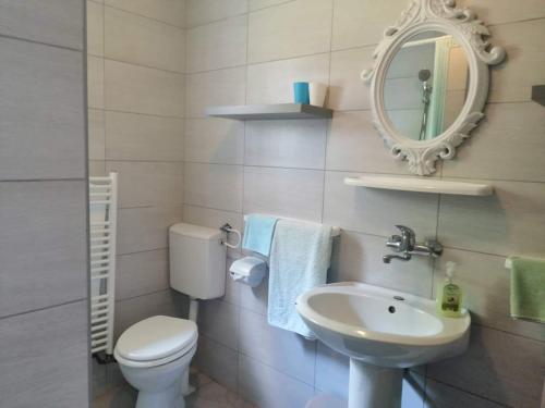 uma casa de banho com um WC, um lavatório e um espelho. em Smještaj Bahat em Varaždinske Toplice