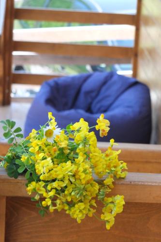 a bunch of yellow flowers on a table with a blue chair at Mountain Cabins in Mestia
