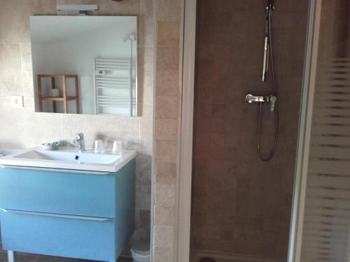 y baño con lavabo y ducha. en Appartement Domaine l'Oliveraie, en Le Castellet