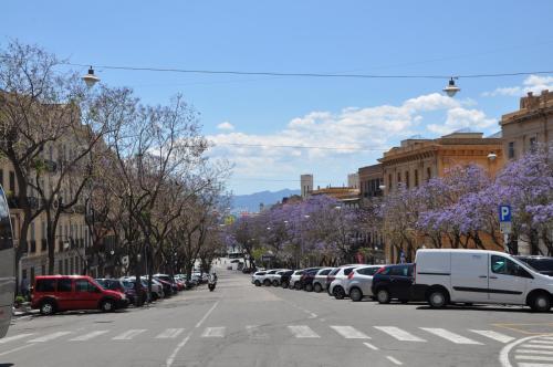 a city street with a bunch of parked cars at EVA LUXURY ROOMS CAGLIARI in Cagliari