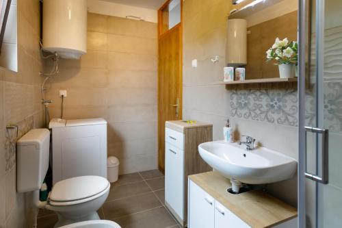 a bathroom with a toilet and a sink at Vacation Home Daniela in Žgaljić