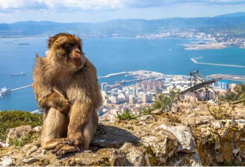 Φυσικό τοπίο κοντά σε αυτό το πλωτό κατάλυμα