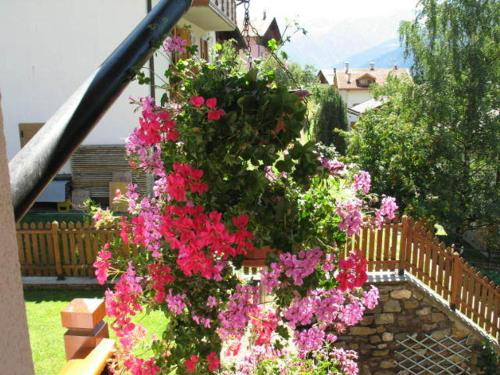 a bunch of pink flowers hanging from a railing at Casa Bamby in Cogolo